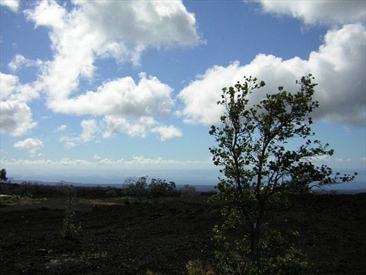 1st image of Mamalahoa Hwy