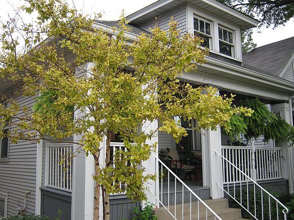 3rd image of 6217 S Menard Ave
