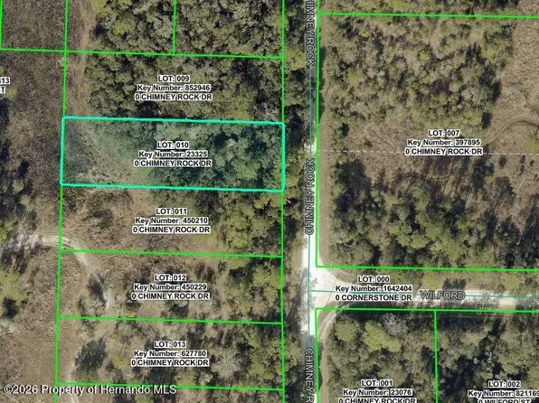 9111 Chimney Rock Dr, Webster, FL 33597