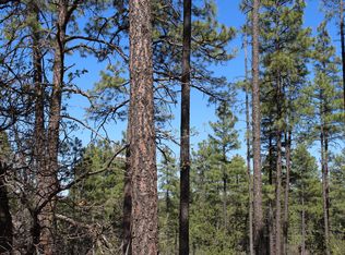 4317 Hidden Way, Show Low, AZ 85901