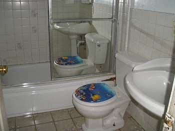 3rd image of 1767 Tampa Way