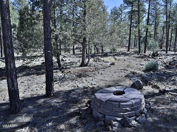 3rd image of 1030 W Big Springs Trl