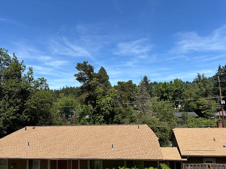 3516 SW Beaverton Hillsdale Hwy #3516 — Photo 10