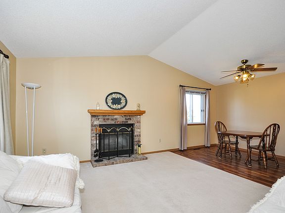 Wood burning fireplace