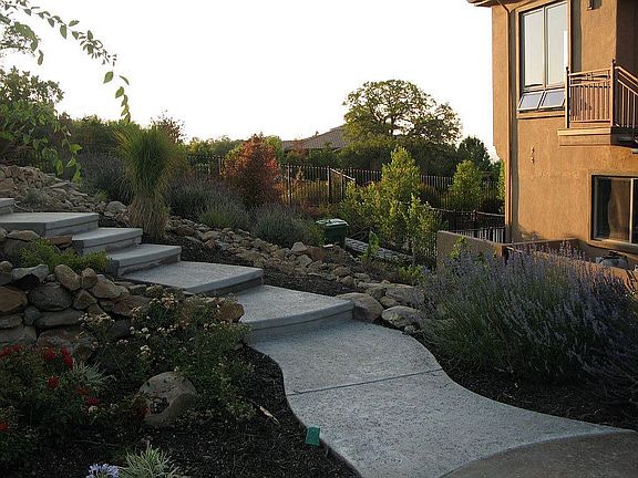 Pergola Steps