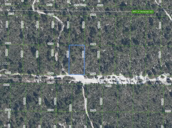 2224 Iris Ave, Sebring, FL 33875