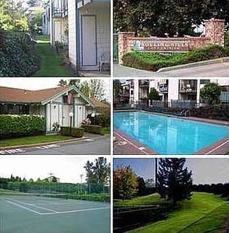 Poolside to Fireside Lifestyle