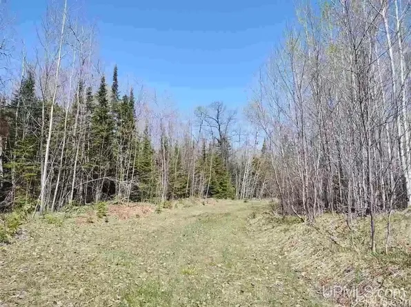 Woodspur Rd, Ontonagon, MI 49953