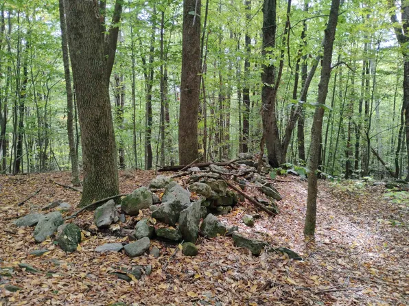 0 Taft Road, Townshend, VT 05353