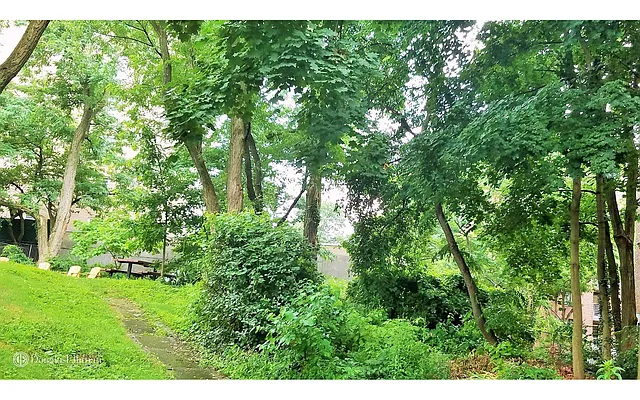 Sold by Douglas Elliman | media 50