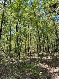 Blissful Ln, Mena, AR, 71953