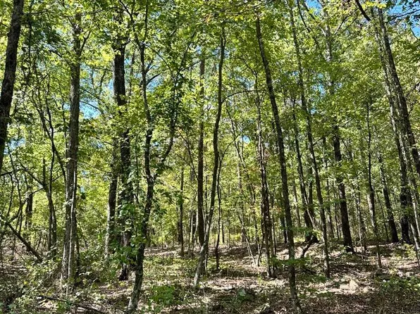 Blissful Ln, Mena, AR 71953