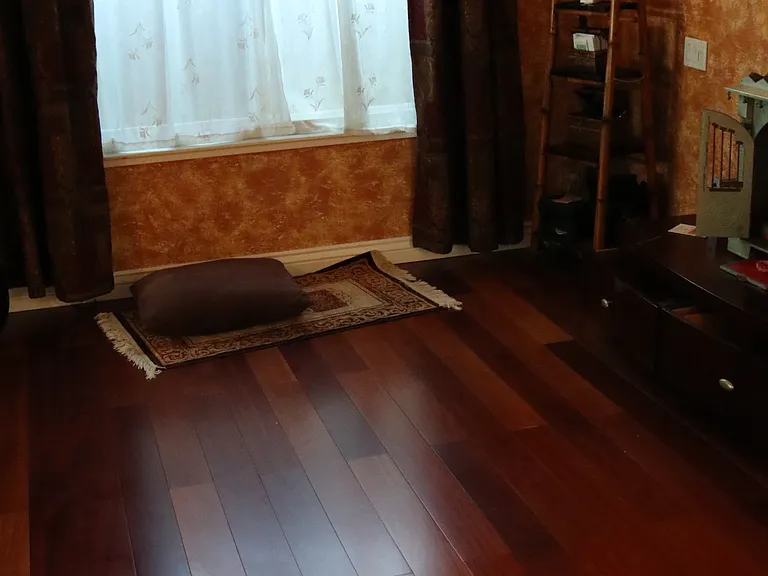 26524 Avenida Veronica — Photo 11