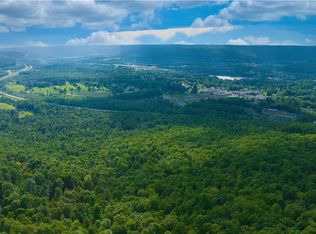 0 Pine Hill Rd, Sidney, NY 13838