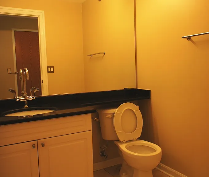 345 N La Salle Dr #3901 — Photo 19