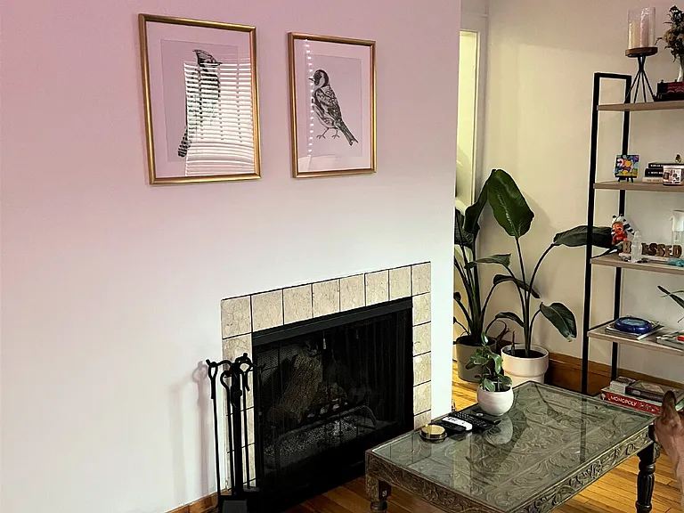 220 Marshall Ave #5 — Photo 5