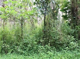 Kauai Rd LOT 658, Pahoa, HI 96778