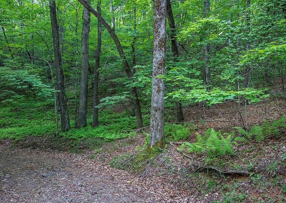 2nd image of 0 Laurel Mountain Dr Lot 10