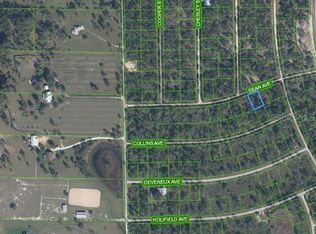 3236 Dean Ave, Lake Placid, FL 33852