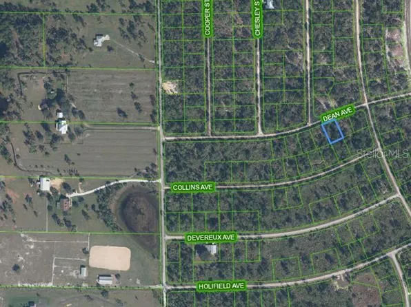 3236 DEAN AVENUE, LAKE PLACID, FL 33852