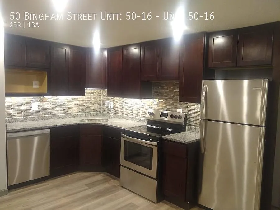 50 Bingham St #16