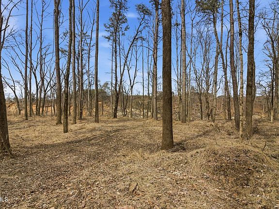 45th image of this home