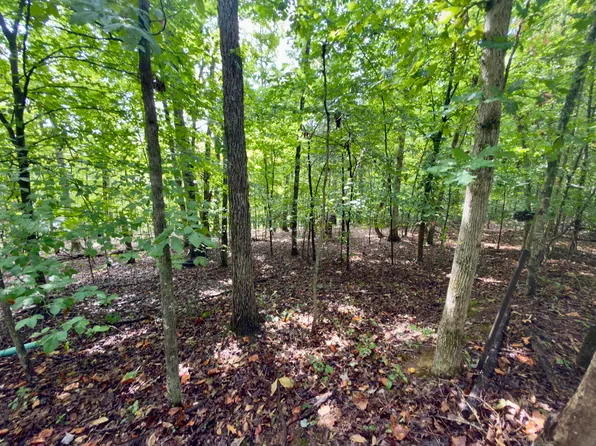 98 Dogwood Trl, Monticello, KY 42633