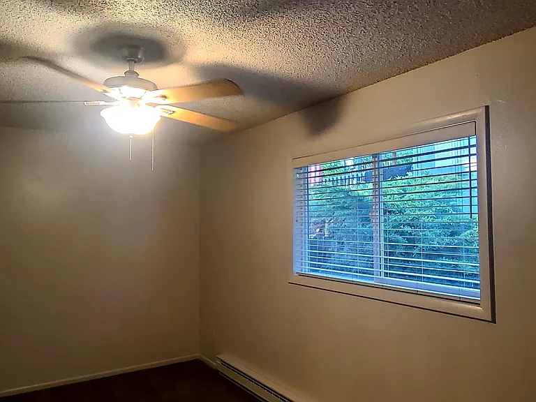 8121 Mummy Range Dr — Photo 4