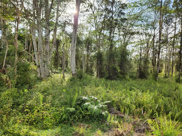 Kehau Rd, Pahoa, HI 96778