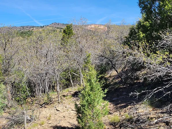 306 N Pine Cone Dr, Alton, UT 84710