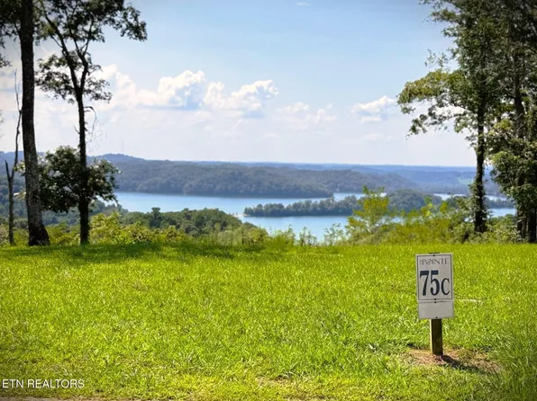 75 E Swan Ridge Rd, Hilham, TN 38568