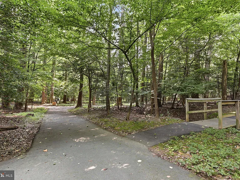 11712 Mossy Creek Ln — Photo 44