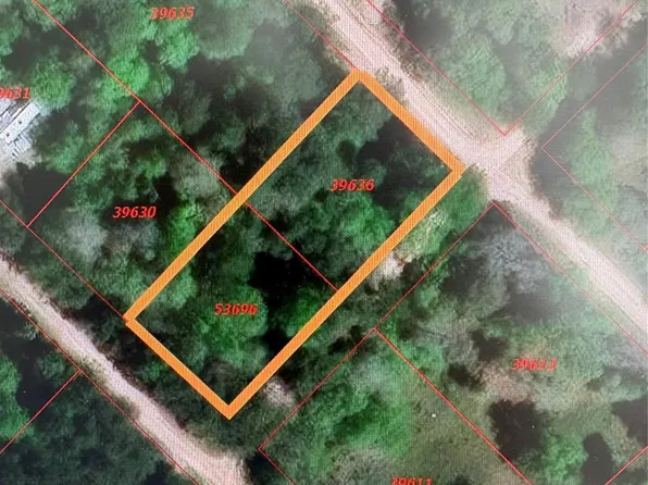 Tbdd Margie Dr, Livingston, TX 77351