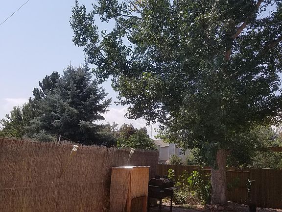 Back patio, large cottonwood tree for great afternoon shade!