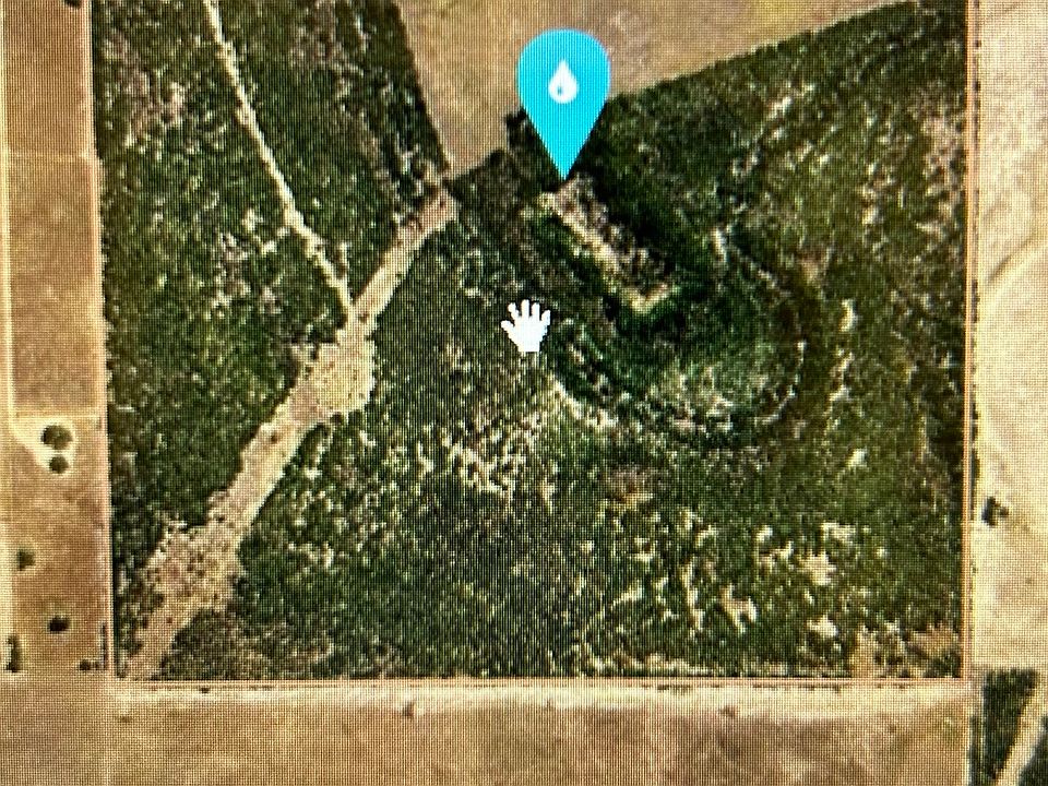 1st image of 000 CR 207