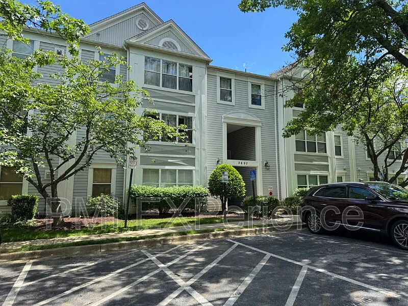 3 bed, 2.0 bath, 978 sqft, $2,450 — Photo 2