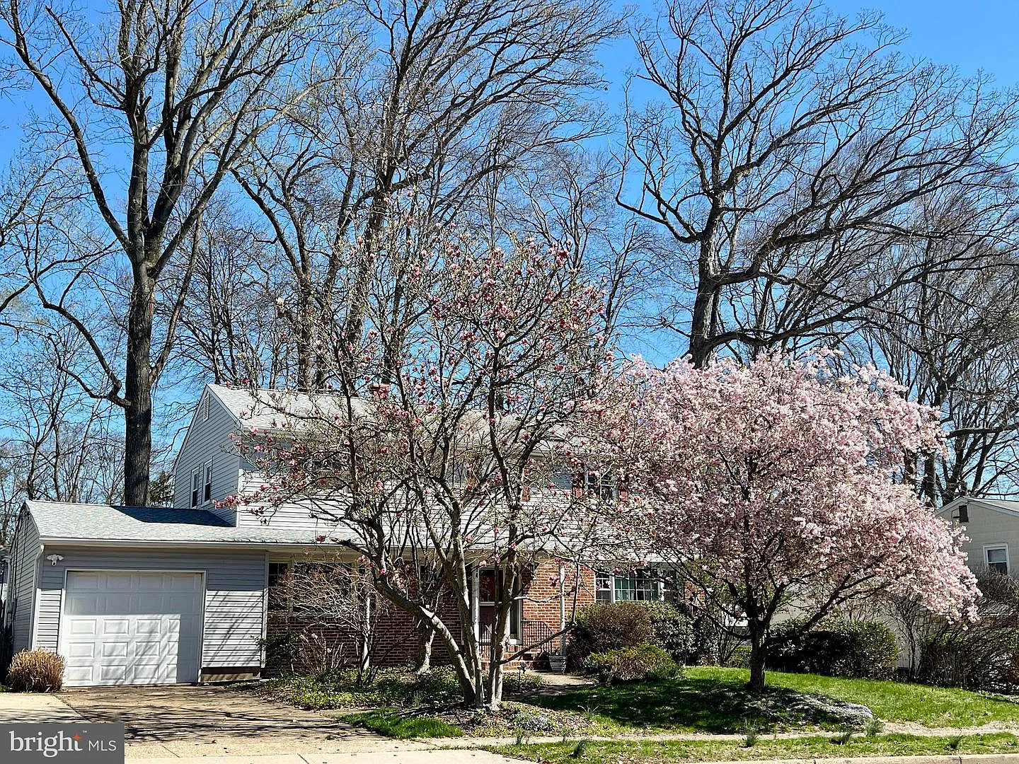 14 E Darrah Ln photo 1