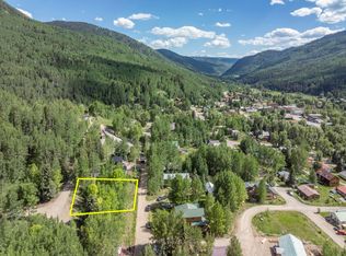 134 N Garfield St, Rico, CO 81332