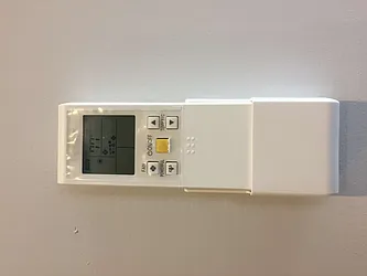 Rented by Renegade New York