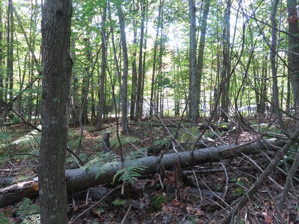 Point Birch Shore Dr LOT 119-W, Trout Lake, MI 49793