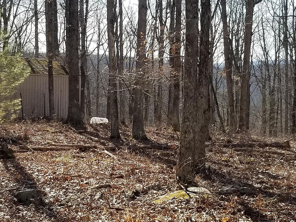 2nd image of 65 Kalmia Ln