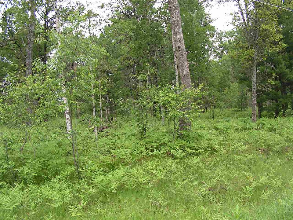 2nd image of Ausable Ct