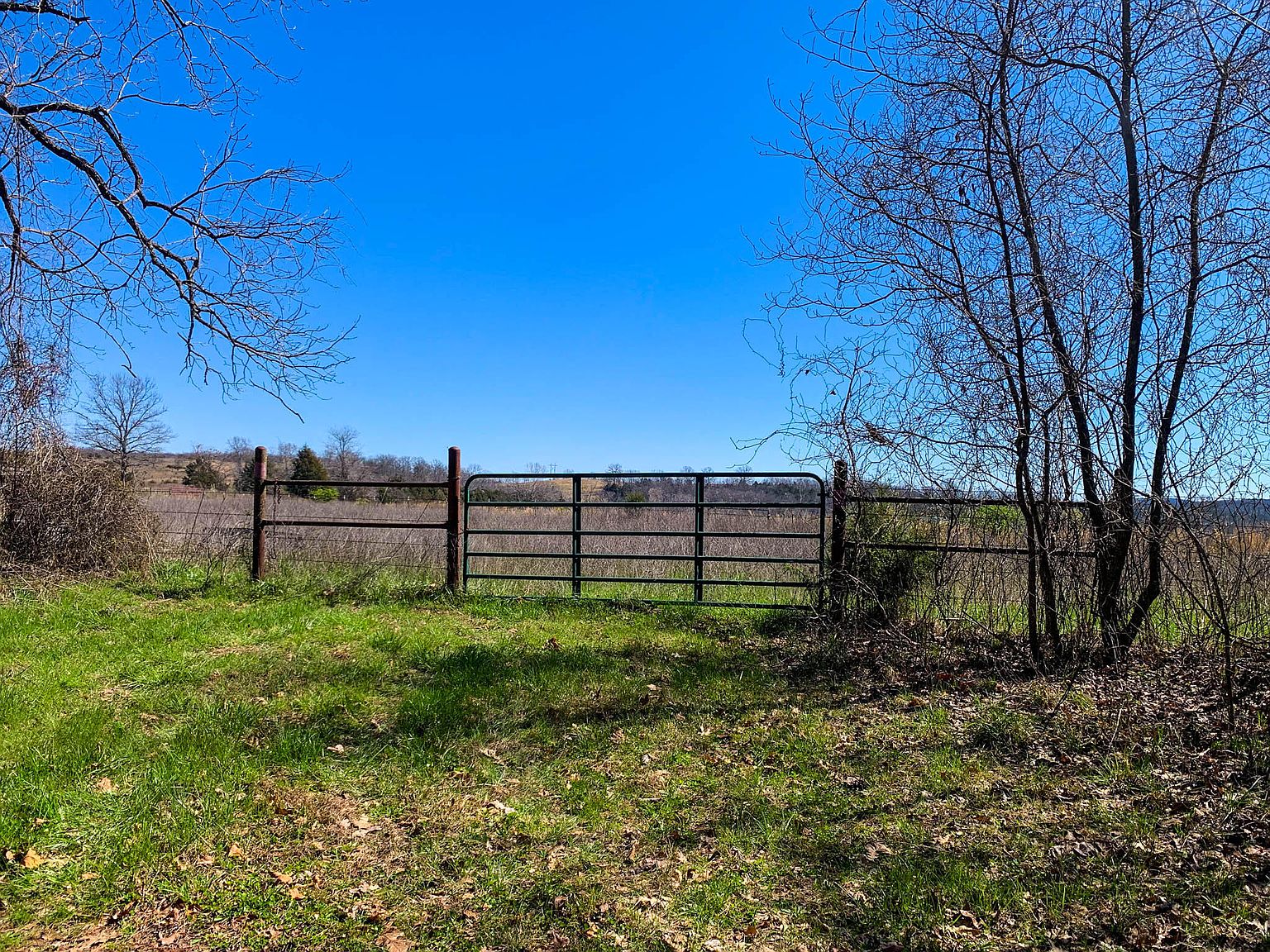 000 County Road 829, Thornfield, MO 65762 Zillow