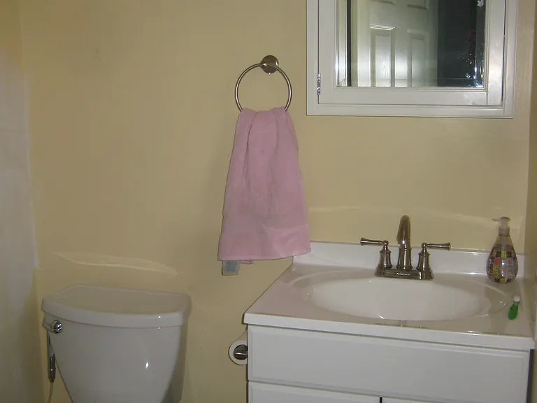 1717-green-st-5-regular-half-bathroom