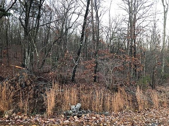 4th image of 0 Ridge Creek Dr #54-46B-46C46D