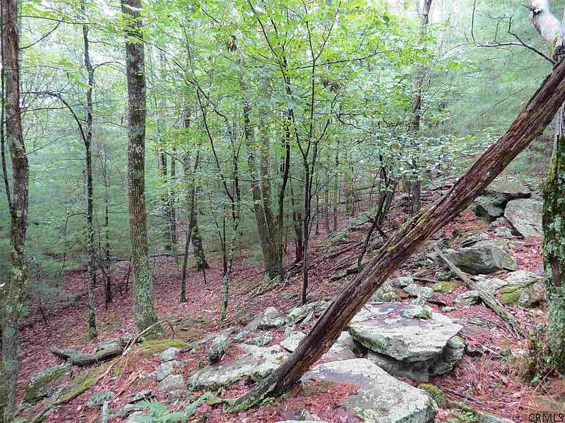 5th image of 73 Grassy Ridge Road