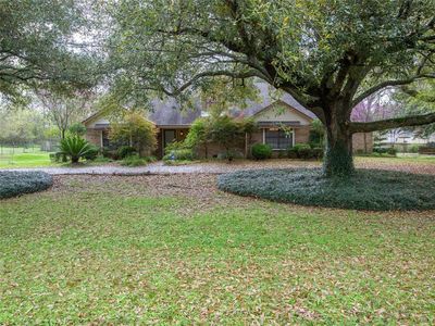 700 E Collard St, Madisonville, TX, 77864