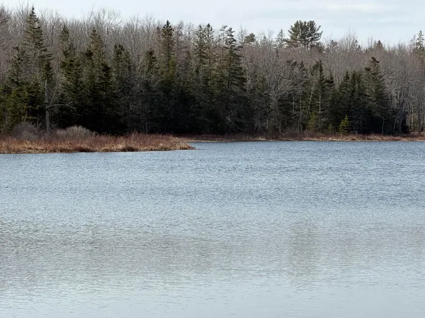 25C Guzzle Road, Gouldsboro, ME 04607