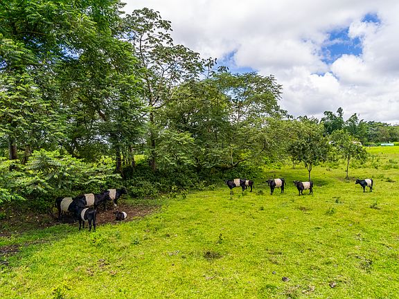5th image of 17-4224 Kuaaina Rd Lot 21