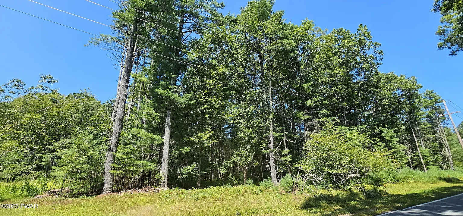 LOT 50 Deep Hollow Hill Rd photo 1